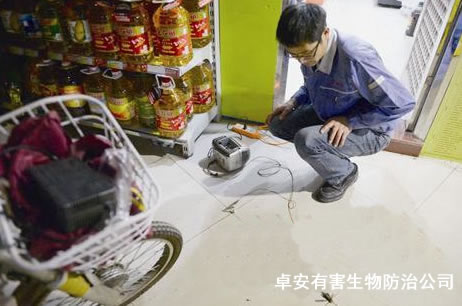捕鼠達(dá)人11年滅鼠近4萬(wàn)只－深圳卓安有害生物防治公司