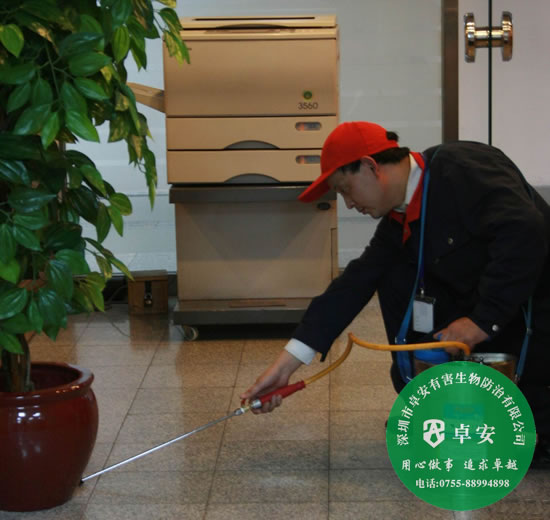 家庭殺蟲滅鼠實用方法介紹－深圳卓安有害生物防治公司